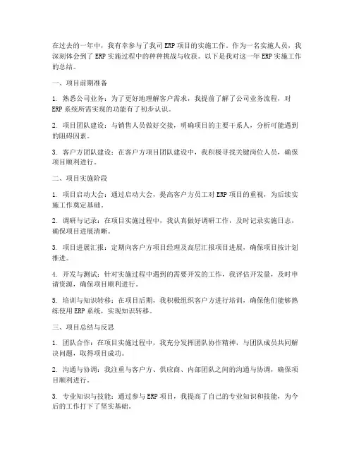erp实施个人工作总结