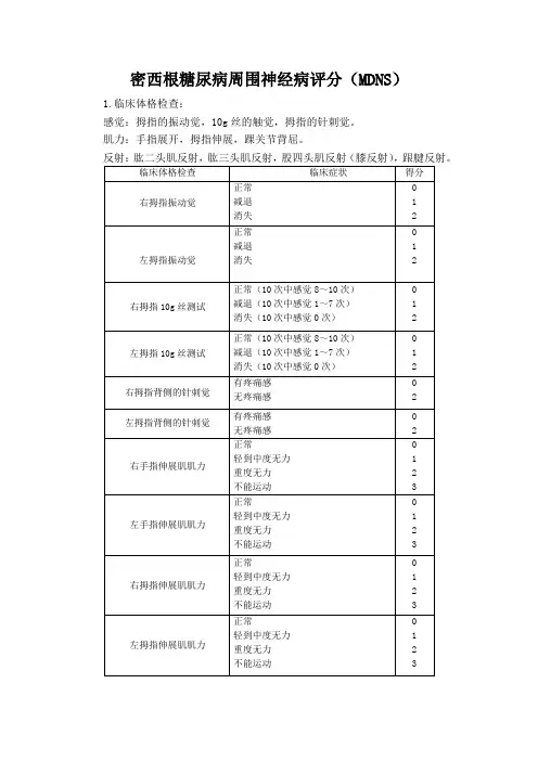 密西根糖尿病周围神经病评分(MDNS)