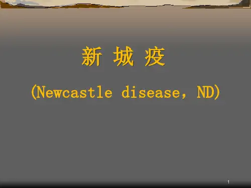 新城疫ppt课件