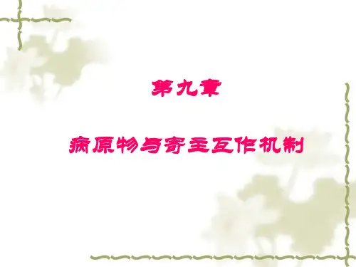 病原物与寄主互作机制 91页PPT文档