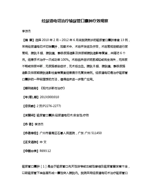 经尿道电切治疗输尿管口囊肿疗效观察