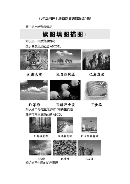 八年级地理上册自然资源概况练习题