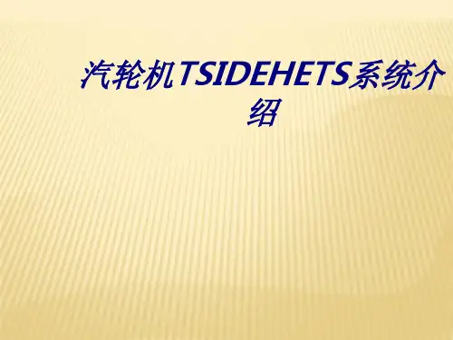 汽轮机TSIDEHETS系统介绍专题培训课件