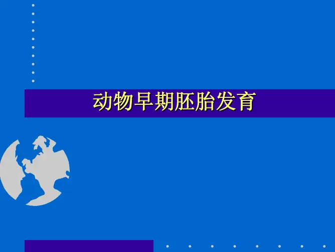 动物早期胚胎发育