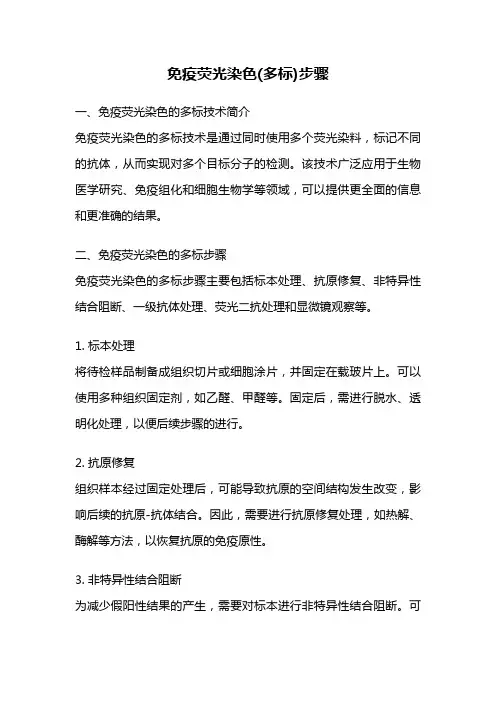 免疫荧光染色(多标)步骤
