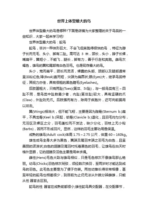 世界上体型最大的鸟