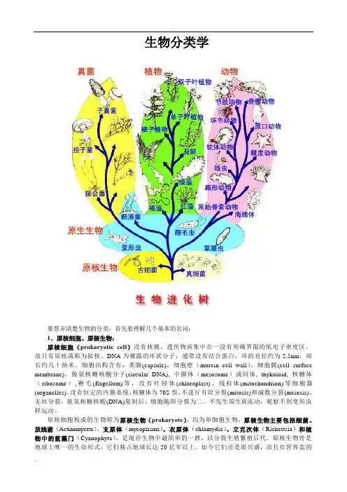 生物分类学(完整版)