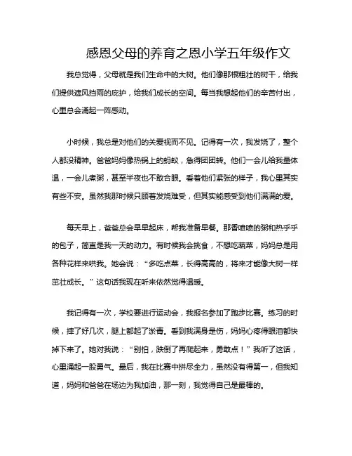 感恩父母的养育之恩小学五年级作文