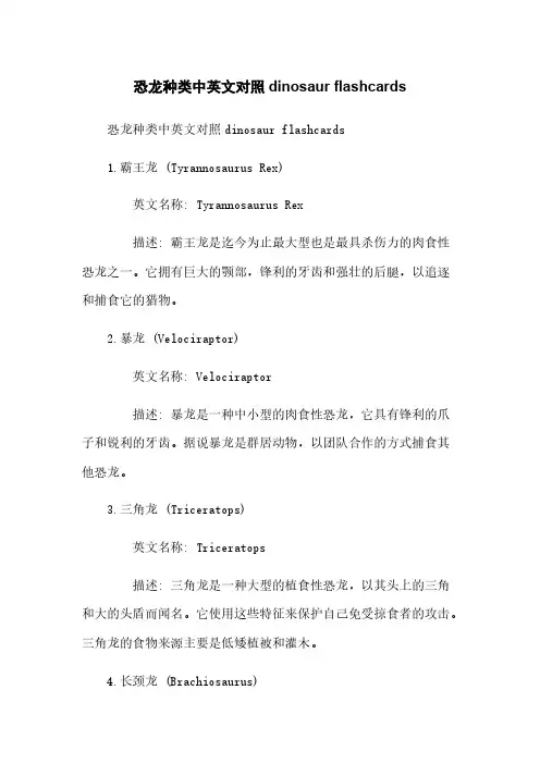 恐龙种类中英文对照dinosaur flashcards