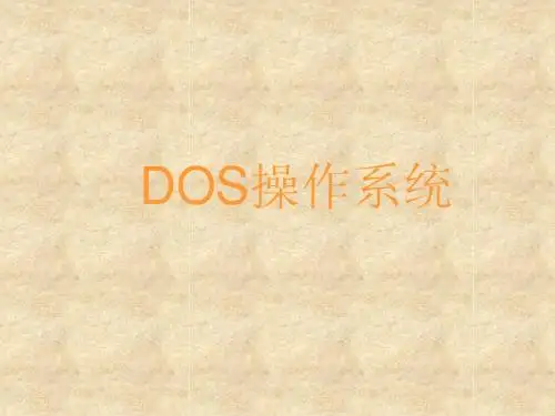 DOS操作系统