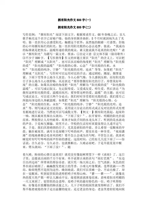 拥有阳光作文800字