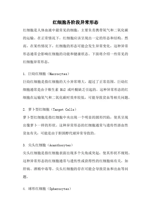 红细胞各阶段异常形态