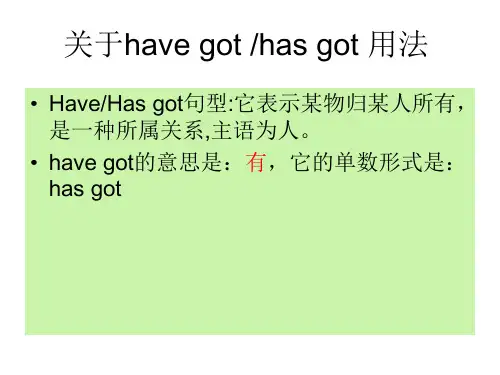 关于have got