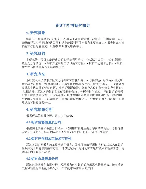 钼矿可行性研究报告