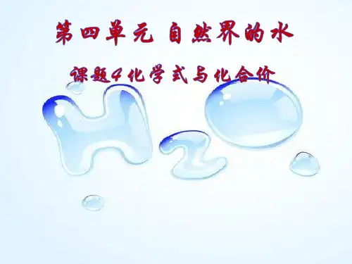 人教版九年级上册 第四单元 课题4 化学式与化合价(共60张PPT)