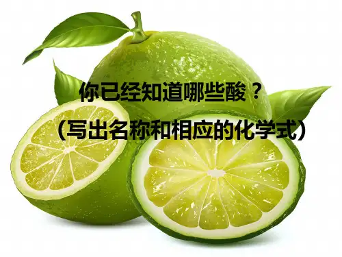鲁教化学下册第7单元1酸及性质(共21张PPT)