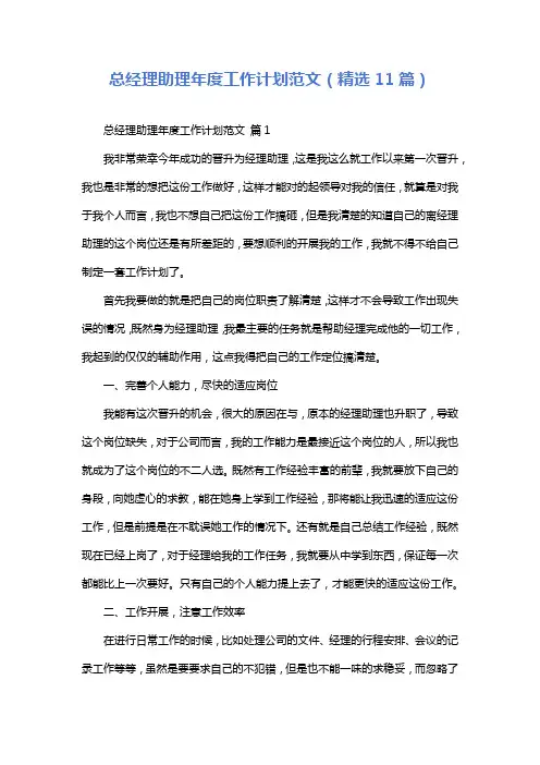 总经理助理年度工作计划范文(精选11篇)