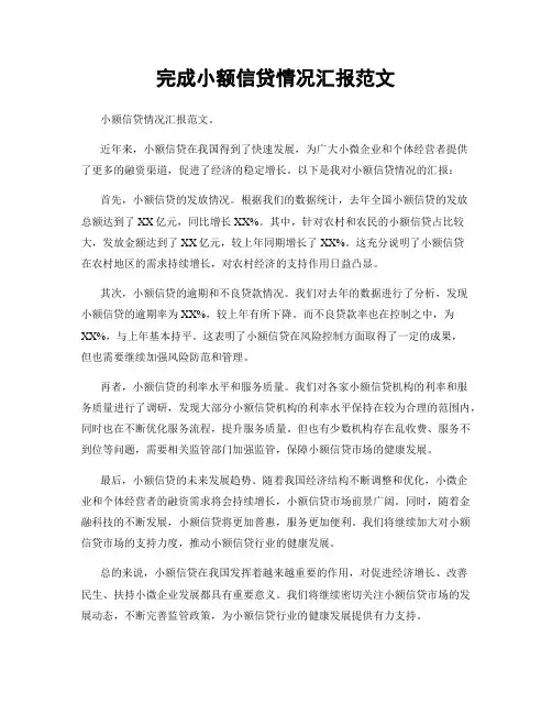 完成小额信贷情况汇报范文