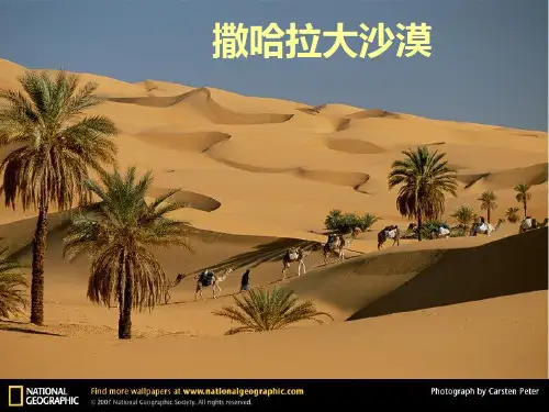 非洲歌舞音乐教学课件