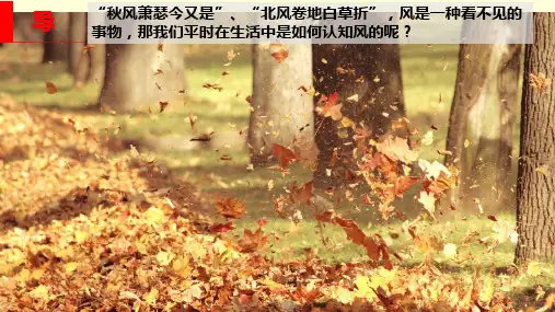 (第三课时)大气的水平运动——风+课件2024-2025学年高中地理人教版(2019)必修一