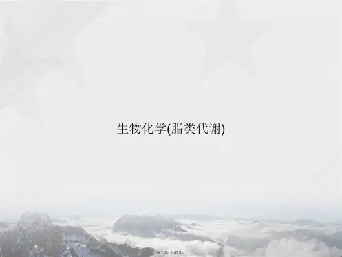 生物化学(脂类代谢)讲课文档