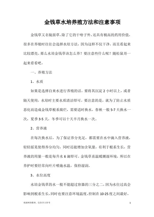 金钱草水培养殖方法和注意事项