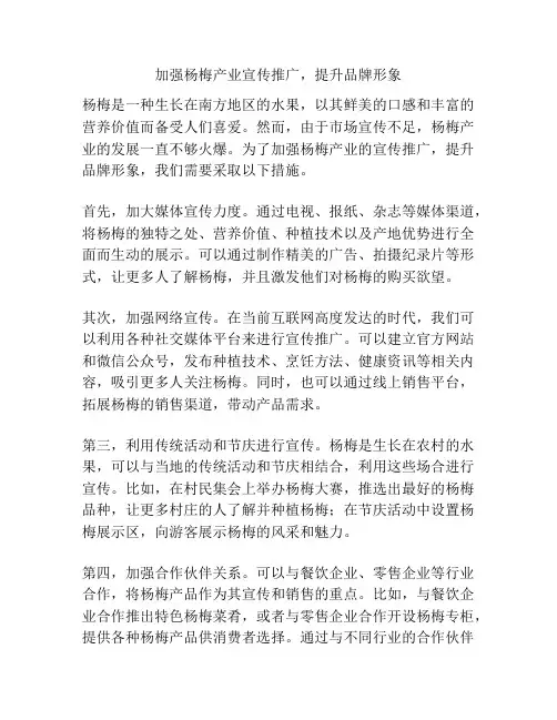 加强杨梅产业宣传推广,提升品牌形象