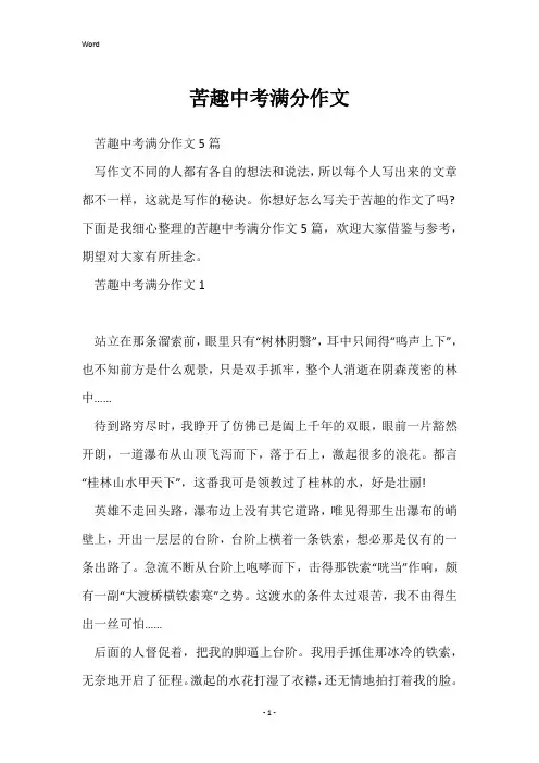 苦趣中考满分作文
