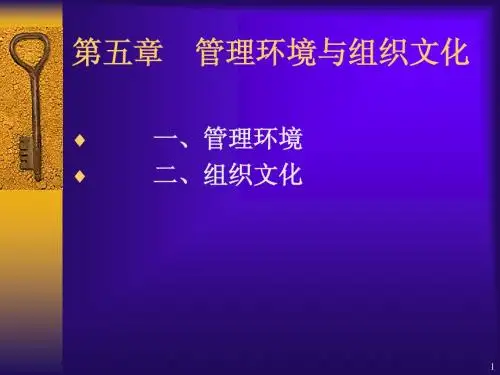 管理环境与组织文化