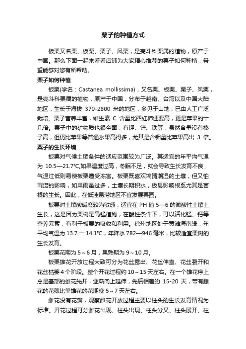 粟子的种植方式