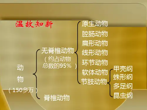 初中生物八上5. 14.2千姿百态的动物世界 课件