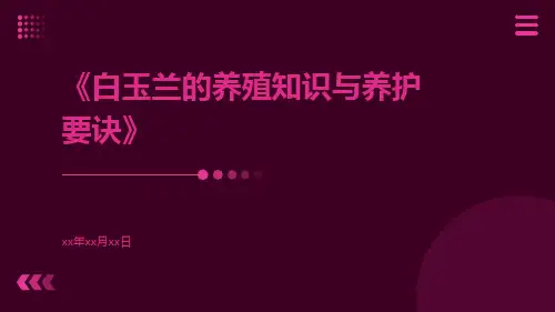白玉兰的养殖知识与养护要诀