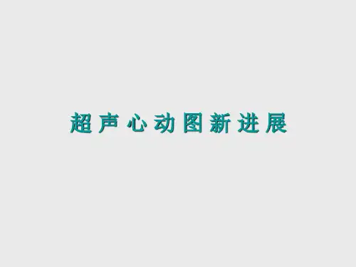 超声心动图新进展课件.ppt