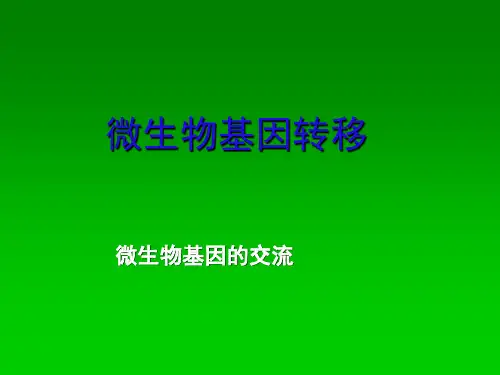 8普遍性转导