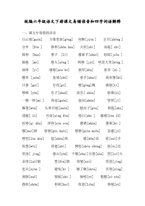 统编六年级语文下册易错读音和四字词语解释