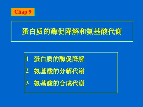 氨基酸代谢库