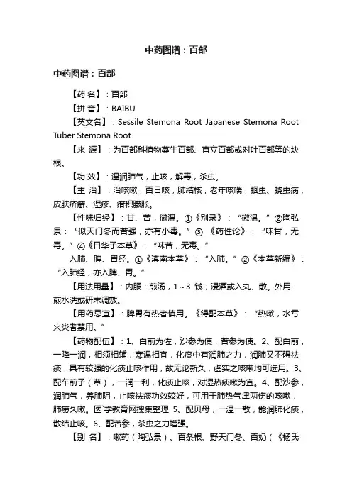 中药图谱：百部