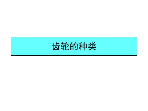 齿轮的种类