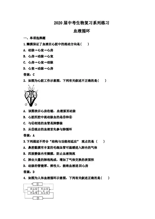 2020年中考生物复习系列训练：血液循环