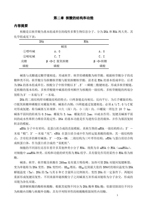 核酸的结构和功能
