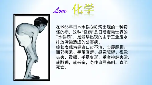 鲁教版化学九年级课件《远离有毒物质》