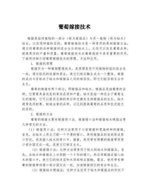 葡萄嫁接技术