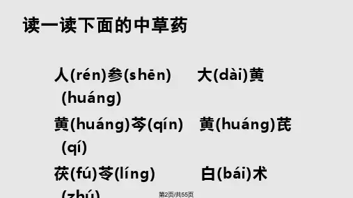 苏教版四年级语文下册练习四PPT1