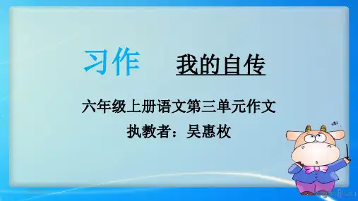 我的自传PPT课件