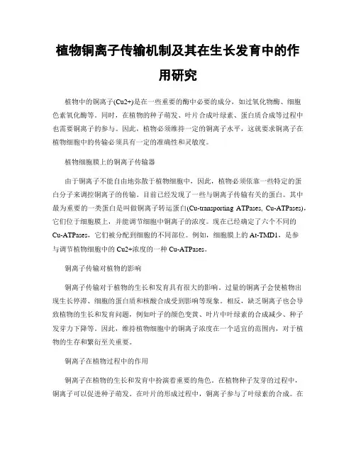 植物铜离子传输机制及其在生长发育中的作用研究