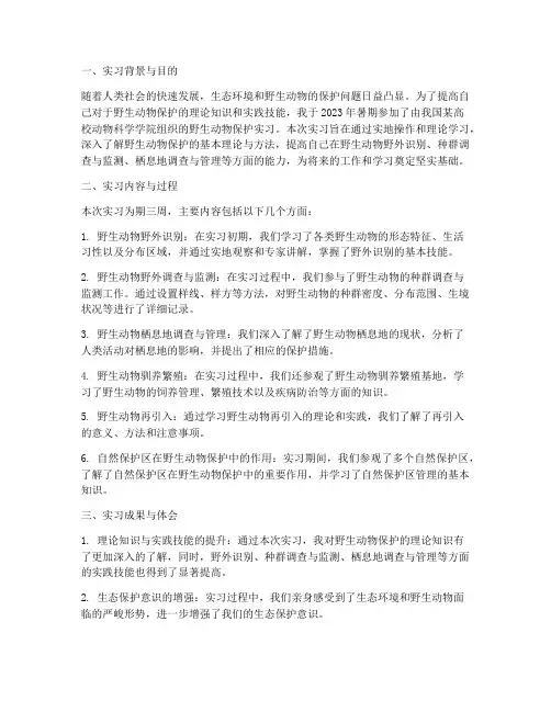野生动物实习报告