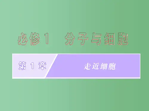 高考生物一轮复习 第1章 走近细胞 新人教版必修1