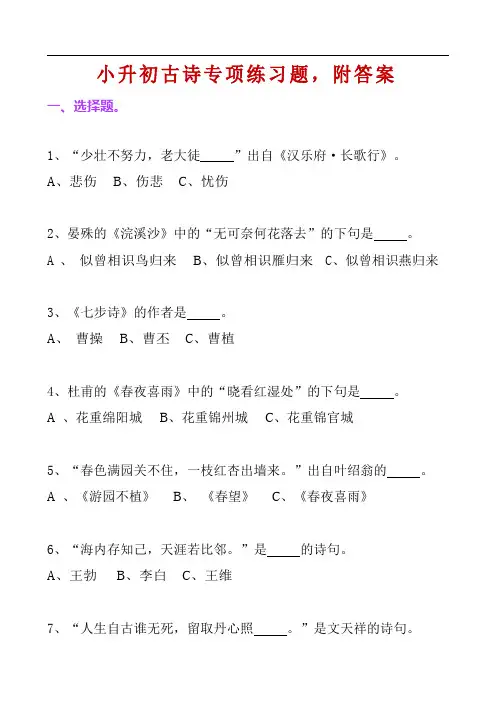 小升初语文古诗词专项练习题,附答案