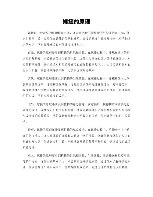 嫁接的原理