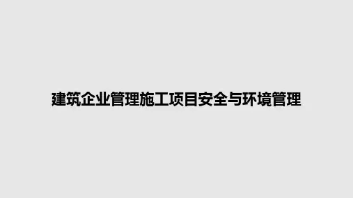 建筑企业管理施工项目安全与环境管理PPT教案